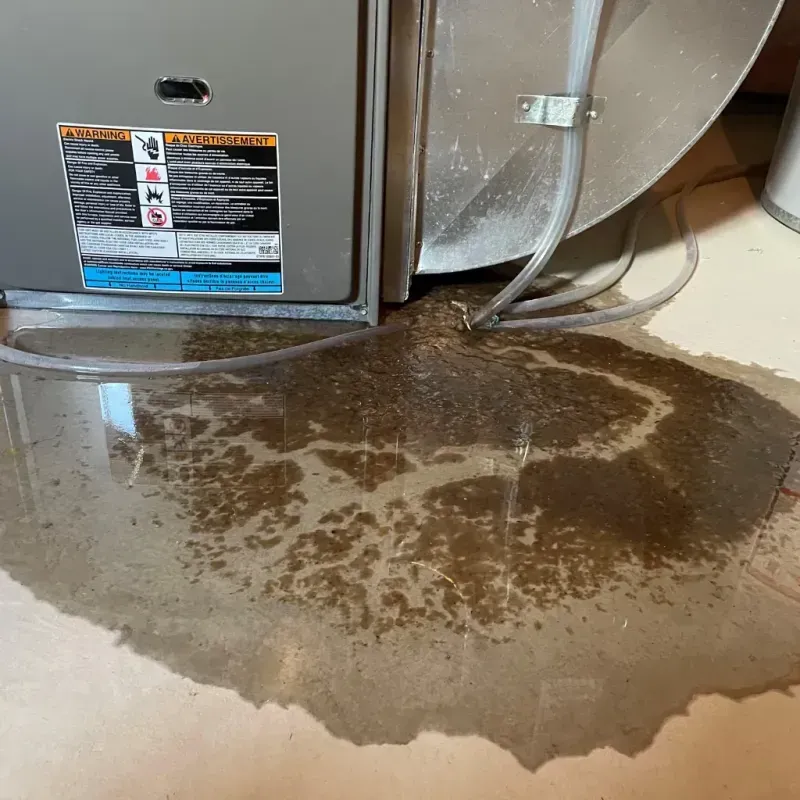 Appliance Leak Cleanup in Pickens, SC